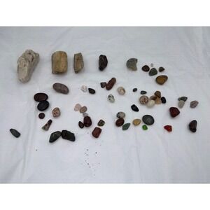 Assorted Natural Beach Lake Stones Collection Craft Art Decor Collection